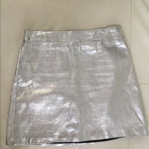 Zara Silver Skirt